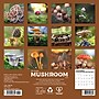 2026 Willow Creek Mushrooms 7" x 7" Monthly Wall Calendar (53652)~#|#~793C602D-869D-4CD5-B8997C8811ED2905_sc7