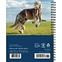 2027 Willow Creek What Horses Teach Us 6.5" x 8.5" Weekly & Monthly Desk Calendar (64474)~#|#~796260CD-AD5C-4DAD-B98D2D4C1EC54B24_sc7