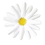 Carson Dellosa Education Happily Ever Elementary Retro Remix Daisies Dimensional Accents, 4/Pack, 3 Packs/Bundle (CD-107011-3)~#|#~796AC078-B95D-4E8C-90F437A2F9B07E91_sc7