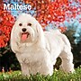 2027 BrownTrout Maltese 12" x 12" Monthly Wall Calendar (9798330714742)~#|#~797EA1D7-C030-4378-8160B445B4883B63_sc7