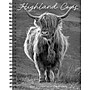 2026 Willow Creek Highland Cows 6.5" x 8.5" Daily & Monthly Personal Organizer (58480)~#|#~797F4DFE-565D-411F-9241A3C6470848D4_sc7
