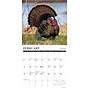 2026 Willow Creek Northwoods Wildlife 12" x 12" Monthly Wall Calendar (52204)~#|#~798779B4-A285-49EF-A23BFCE1E0AAB2C4_sc7