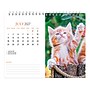 2027 BrownTrout Kittens 7.5" x 6" Monthly Wall Calendar, Assorted Colors (9798330709373)~#|#~798E42AF-F3F4-491C-884878087B6C98E5_sc7
