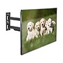 Mount-It! Full-Motion TV Mount, 110 lbs. Max. (MI-14003)~#|#~799C29E4-A4CD-40E1-B925A1D06BDB4E68_sc7