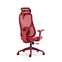 Raynor Group Torque Ergonomic Fabric/Mesh Swivel Manager Chair, Red (TORQUE-RED)~#|#~799FA644-A17A-4C9F-A62A150EDF26F121_sc7