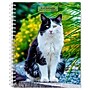 2026 BrownTrout Cat Lovers 6.5" x 7.75" Weekly Planner (9798330702763)~#|#~79AAF03F-F66F-434C-BA79124425BFEF6B_sc7