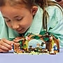 LEGO Wicked Elphabas Retreat Creative Forest, 228 Pieces (75687)~#|#~79CC931D-BAA1-4931-BF63F256D1B7AFBB_sc7