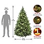 National Tree Company Carolina Pine Artificial Christmas Tree, 7 ft., Clear Lights (CAP3-306-70)~#|#~79DF9CA4-8A84-4850-BF83BCAAAB94C34D_sc7