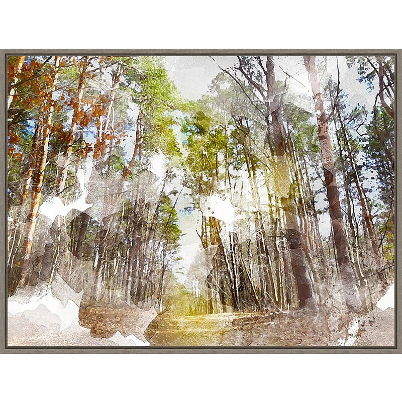 Amanti Art Forest Road I by Chamira Young Framed Canvas Wall Art Print, 42" x 32" (A42677748004) image 1