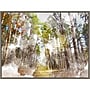 Amanti Art Forest Road I by Chamira Young Framed Canvas Wall Art Print, 42" x 32" (A42677748004)~#|#~79E4271F-FE7F-4B8A-A02A2A29602AA7BD_sc7