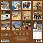2027 Willow Creek Multi 12" x 12" Monthly Wall Calendar, Reversible, Assorted Colors (62067)~#|#~79F21315-FB9E-4FF1-A71E0146D8CE1812_sc7