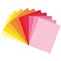 Tru-Ray 9" x 12" Construction Paper, Assorted Colors, 150 Sheets/Pack, 3 Packs/Bundle (PAC6686-3)~#|#~79F521F7-A69B-4423-8419C3B600638341_sc7