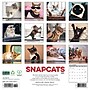 2026 Willow Creek Snapcats 12" x 12" Monthly Wall Calendar (52853)~#|#~79FF32C5-D5CB-4C81-B5367A6B00BA9403_sc7