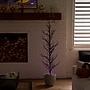 Nearly Natural Pre-Lit Artificial Halloween Black Spooky Twig Tree, 5' (T5236)~#|#~7A011D05-5389-4EB9-A4C891AEE8CDA750_sc7