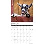 2026 Willow Creek Baby Goats 12" x 12" Monthly Wall Calendar (50019)~#|#~7A06EFC2-97B9-448D-8EC644D0461B96CD_sc7