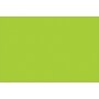 Tape Logic Rectangle Inventory Label, 6" x 4", Fluorescent Green, 500/Roll (DL635J)~#|#~7A096C8E-D9C5-4776-9114036B43CF52CA_sc7