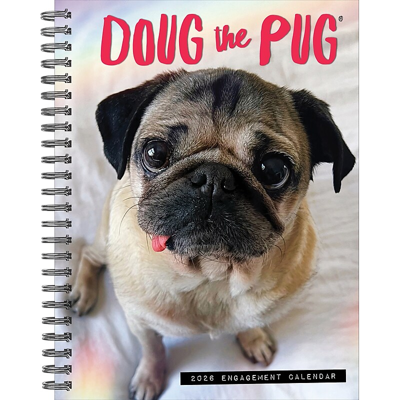 2026 Willow Creek Doug the Pug 6.5" x 8.5" Daily & Monthly Personal Organizer (54642) image 1