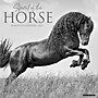 2027 Willow Creek Spirit of the Horse 12" x 12" Monthly Wall Calendar, Assorted Colors (65389)~#|#~7A251446-EEDD-481B-A0BE13334E463BF1_sc7