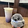 Borbs Pigeon Stuffed Animal, Grey (HFBPIGEON)~#|#~7A2EC89B-D8CC-4029-B0E6EC2DAA0A5637_sc7