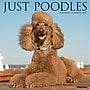 2027 Willow Creek Poodles 12" x 12" Monthly Wall Calendar, Assorted Colors (61879)~#|#~7A4F18AD-5906-4D56-8AB4416431797FC4_sc7