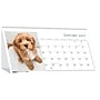 2027 House of Doolittle Earthscapes Puppy 8.5" x 4" Monthly Desk Calendar (3659-27)~#|#~7A55DAF2-8944-489C-B5C8D442127E36C2_sc7