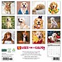 2027 Willow Creek 12 Uses for a Golden 12" x 12" Monthly Wall Calendar, Assorted Colors (58589)~#|#~7A57F31C-C763-4F39-9E1D362F7D928C25_sc7
