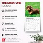 2027 BrownTrout Dachshund Puppies 7" x 7" Monthly Wall Calendar, Assorted Colors (9798330709977)~#|#~7A5CCA4D-9578-402E-AA82A344FDE4572B_sc7