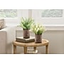 Monarch Specialties Inc. 12" Artificial Mullberry Grass Plant in Pot, 2/Set (I 9360)~#|#~7A91951B-C21C-4809-9CA7829259859ECD_sc7