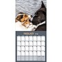 2026 TF Publishing Furry Friends 12" x 12" Monthly Wall Calendar (26-1011)~#|#~7AD04E93-1F94-4703-99BE83AF4690073E_sc7