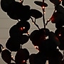 Nearly Natural Pre-Lit Artificial Halloween Black Eucalyptus Tree, 3' (T5220)~#|#~7ADC63C9-8808-4A72-A76864A23898D9F0_sc7