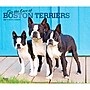 2027 BrownTrout For the Love of Boston Terriers 14" x 12" Monthly Wall Calendar, Assorted Colors (9798330714667)~#|#~7AEC3D26-819D-49DF-9A8B7C6C1176C5C3_sc7