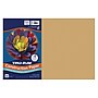 Tru-Ray 12" x 18" Construction Paper, Almond, 50 Sheets/Pack, 5 Packs/Bundle (PAC103074-5)~#|#~7B07566B-D081-4923-B5ADADBF8325F223_sc7