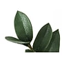 Monarch Specialties Inc. 29" Artificial ZZ Tree in Pot (I 9506)~#|#~7B0A5EB6-14C2-4D69-8314B73E462C5AEA_sc7