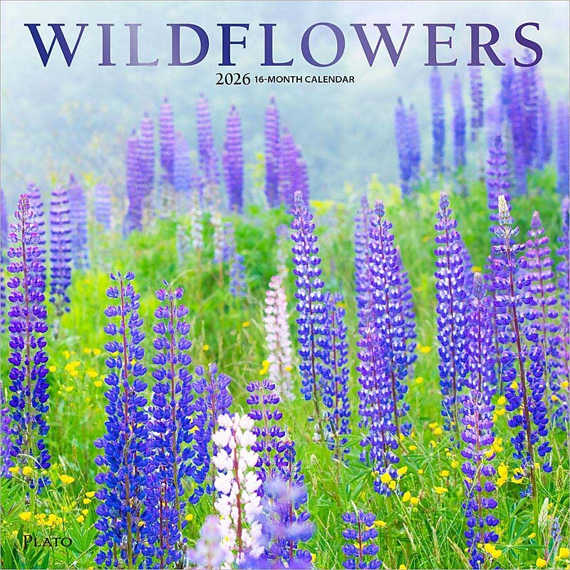 2026 Plato Wildflowers 12" x 12" Monthly Wall Calendar (9798330706662) image 1