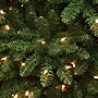 National Tree Company Kingswood Fir Artificial Christmas Tree (KW7-300-100)~#|#~7B1F7887-AF71-4DAF-994069CC79FCAB06_sc7