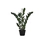 Monarch Specialties Inc. 29" Artificial ZZ Tree in Pot (I 9506)~#|#~7B20DE44-A006-4207-B739414E97FECE7B_sc7