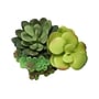 Monarch Specialties Inc. 7" Artificial Succulent Plant in Pot, 2/Set (I 9554)~#|#~7B484006-0FF7-4EC4-8E202D3E79533FA1_sc7