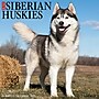 2027 Willow Creek Siberian Huskies 12" x 12" Monthly Wall Calendar, Assorted Colors (62333)~#|#~7B4A0AAE-82A9-4D4D-B913BFEE970F882B_sc7