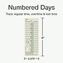 Adams Time Cards, 200/Pack (ABF 9675-200)~#|#~7B4A0D17-1992-4762-B3AB9A313076A469_sc7