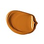 Liquitex BASICS Acrylic Paint Tube, Raw Sienna, 250 mL (LIQ4385330)~#|#~7B4CBC16-4D84-4368-911FAB2A8A5E21F5_sc7