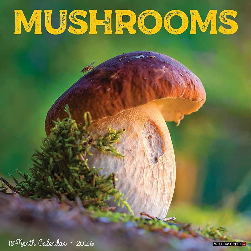 2026 Willow Creek Mushrooms 12" x 12" Monthly Wall Calendar (52068) image 1