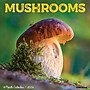 2026 Willow Creek Mushrooms 12" x 12" Monthly Wall Calendar (52068)~#|#~7B635852-379E-4D9E-96976019062C7EDE_sc7