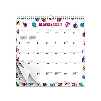 2023-2024 StarGifts Ladybug Party 12" x 12" Academic & Calendar Monthly Wall Calendar (9781975472016)