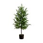 Nearly Natural Artificial Norfolk Pine Tree, 4' (T4708)~#|#~7B913528-85A2-43D6-AB49FD41CF5D3B1C_sc7