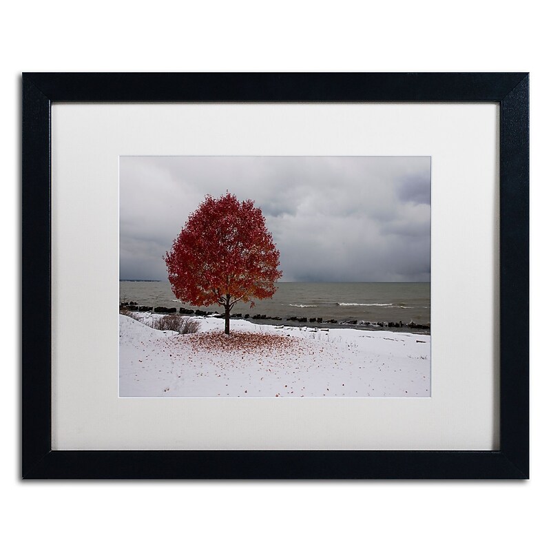 Trademark Fine Art Kurt Shaffer 'Autumn Contrast on the Lake' 16 x 20 Framed Art Print (KS01020-B1620MF) image 1