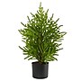 Nearly Natural Norfolk Island Pine Natural Look Artificial Tree in Decorative Planter, 2' (T1502)~#|#~7BAE7546-C346-4459-960E4E61F274655A_sc7