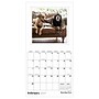 2027 TF Publishing Best Day Ever: Dogs 7" x 7" Monthly Wall Calendar, Multicolored (27-2008)~#|#~7BC0DB85-BD77-480C-8EFE229B750909E4_sc7