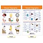 NewPath Learning Decoding & Phonics Bulletin Board Charts, 12" x 18", 8/Set (NP-921501)~#|#~7BD2AA0E-AA54-4032-B1DB383C320DD24C_sc7