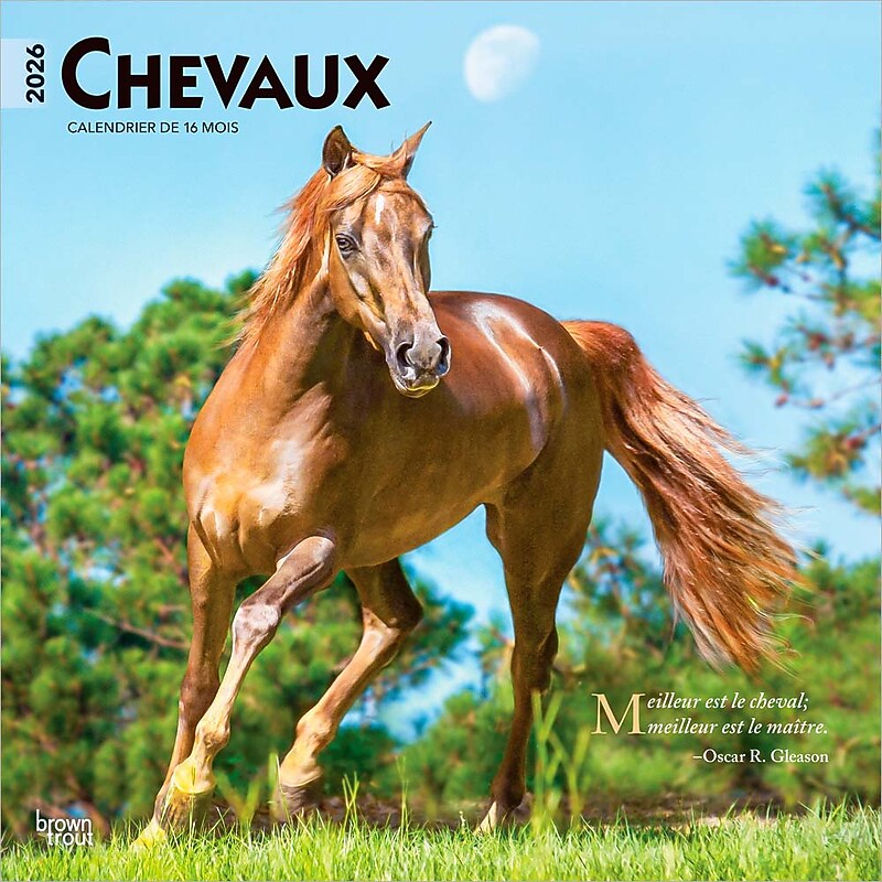 2026 BrownTrout Chevaux 12" x 12" Monthly Wall Calendar (9798330707362) image 1