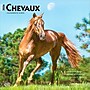 2026 BrownTrout Chevaux 12" x 12" Monthly Wall Calendar (9798330707362)~#|#~7BD9FFFB-1C10-486B-B77AB1F7D3476F98_sc7